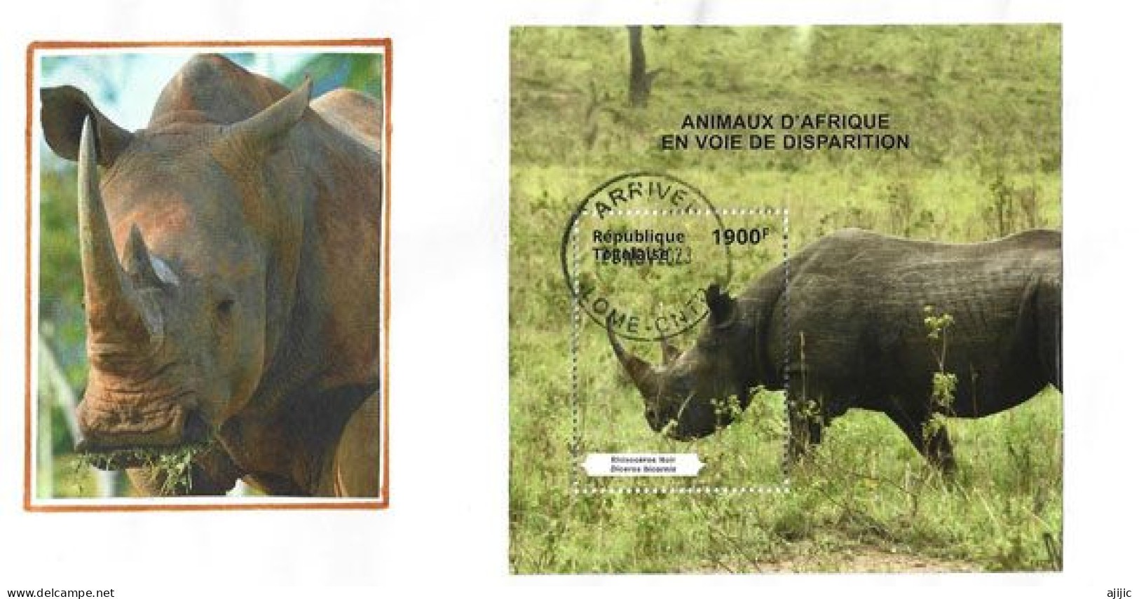 Animaux En Voie De Disparition En Afrique. Le Rhinocéros Noir Du Togo. Bloc-feuillet Sur Lettre Lomé. TOGO - Togo (1960-...)