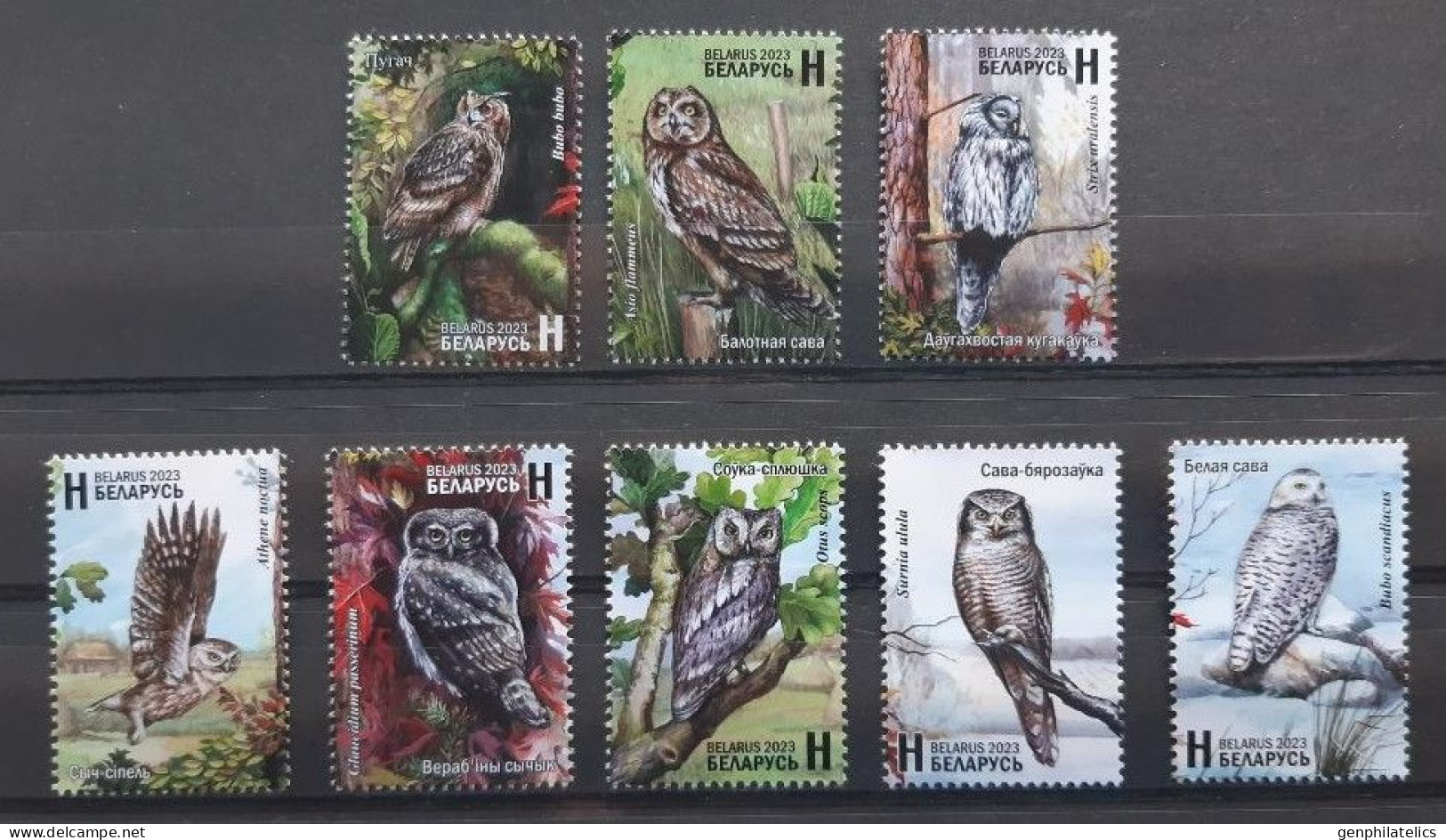 BELARUS 2023 FAUNA Animals. Birds OWLS - Fine Set MNH - Belarus