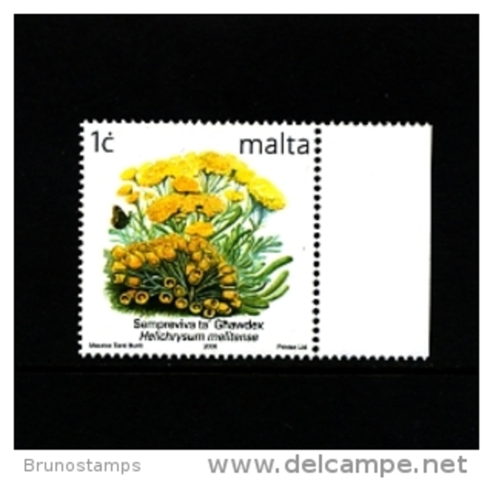 MALTA - 2006  1 C.  FLOWERS  REPRINT  MINT NH - Malta