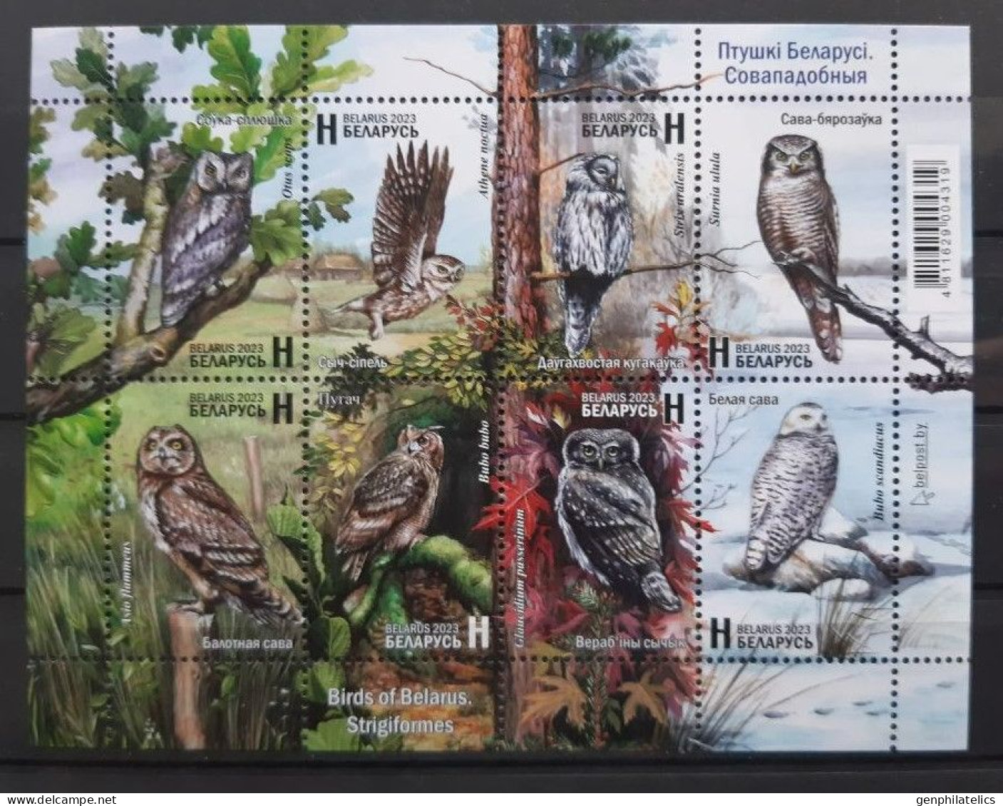 BELARUS 2023 FAUNA Animals. Birds OWLS - Fine S/S MNH - Wit-Rusland