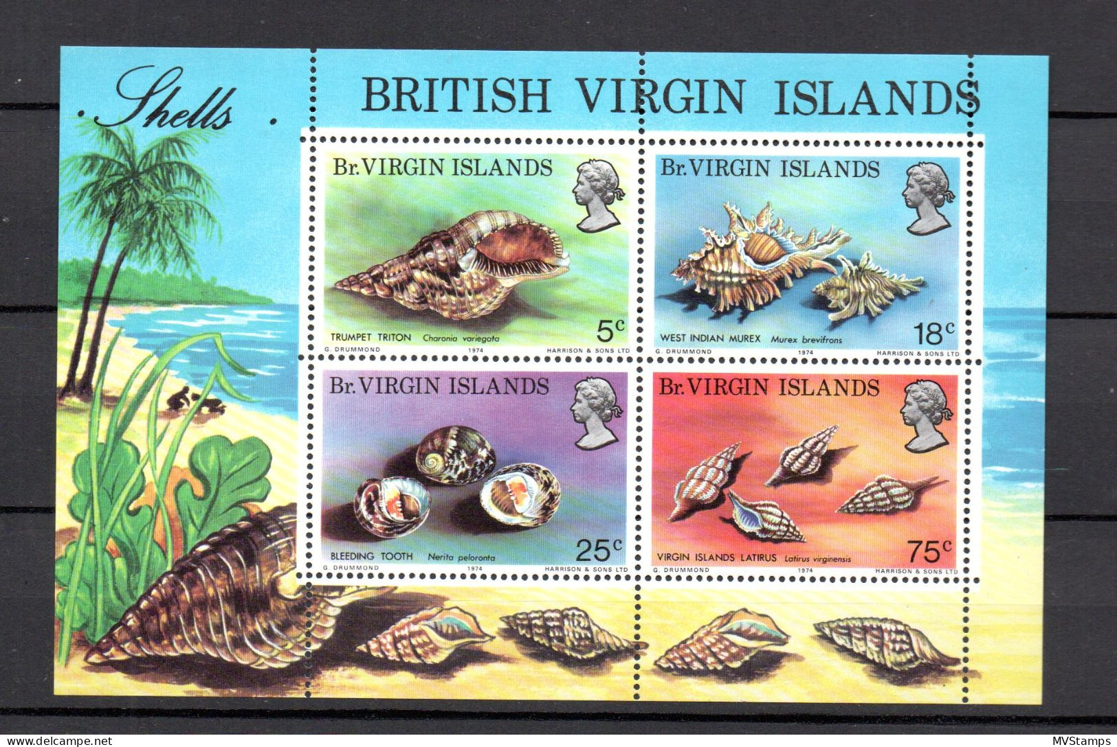 Virgin Islands 1974 Sheet Shells/Coral/Sealife/Marine Stamp (Michel Block 4) MNH - British Virgin Islands