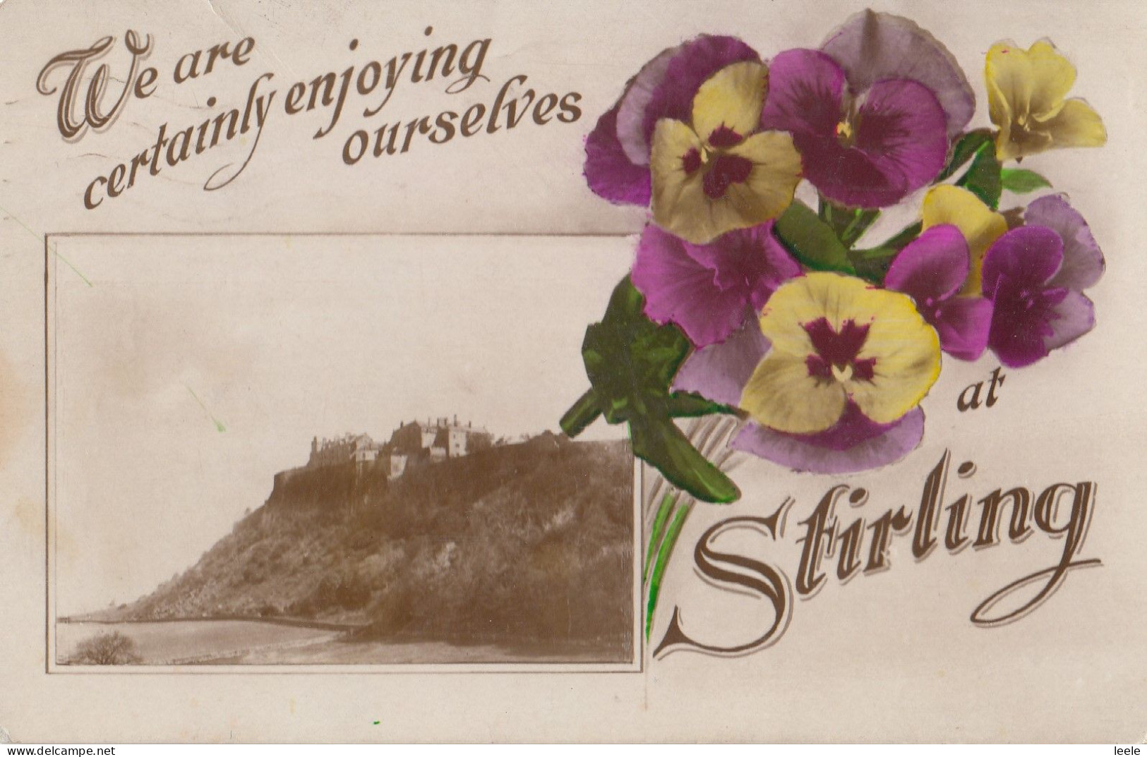 CL78. Vintage Postcard.We're Certainly Enjoying Ourselves At Stirling. Pansies. - Stirlingshire