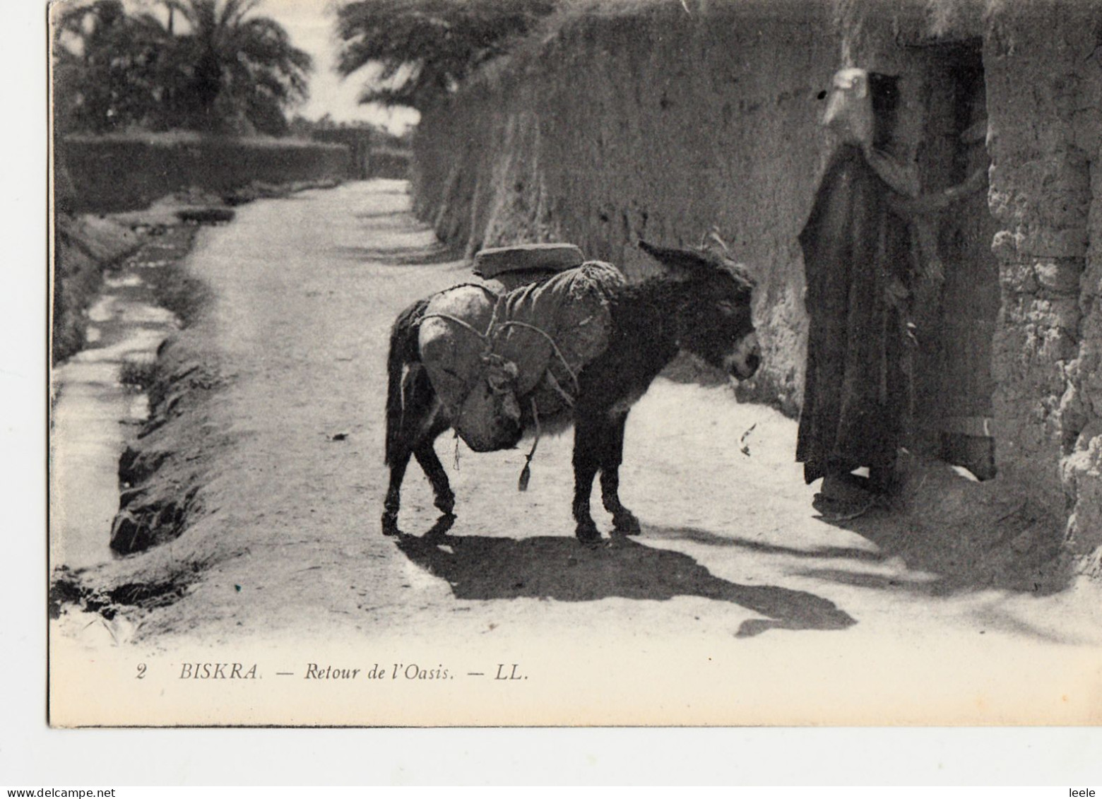 CL93. Vintage Postcard. Biskra, Algeria. The Return From The Oasis. Donkey - Biskra