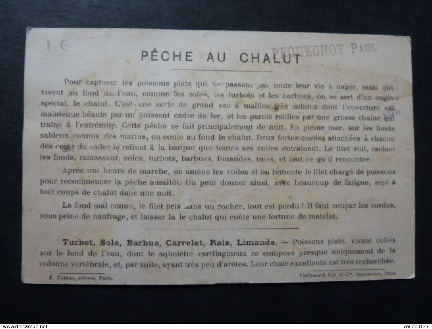 F33 - Chromo Format CPA - Pêche Maritime - Au Chalut (Turbots Et Barbues) (Cotes De L'Océan) - Texte Au Dos - Fischerei