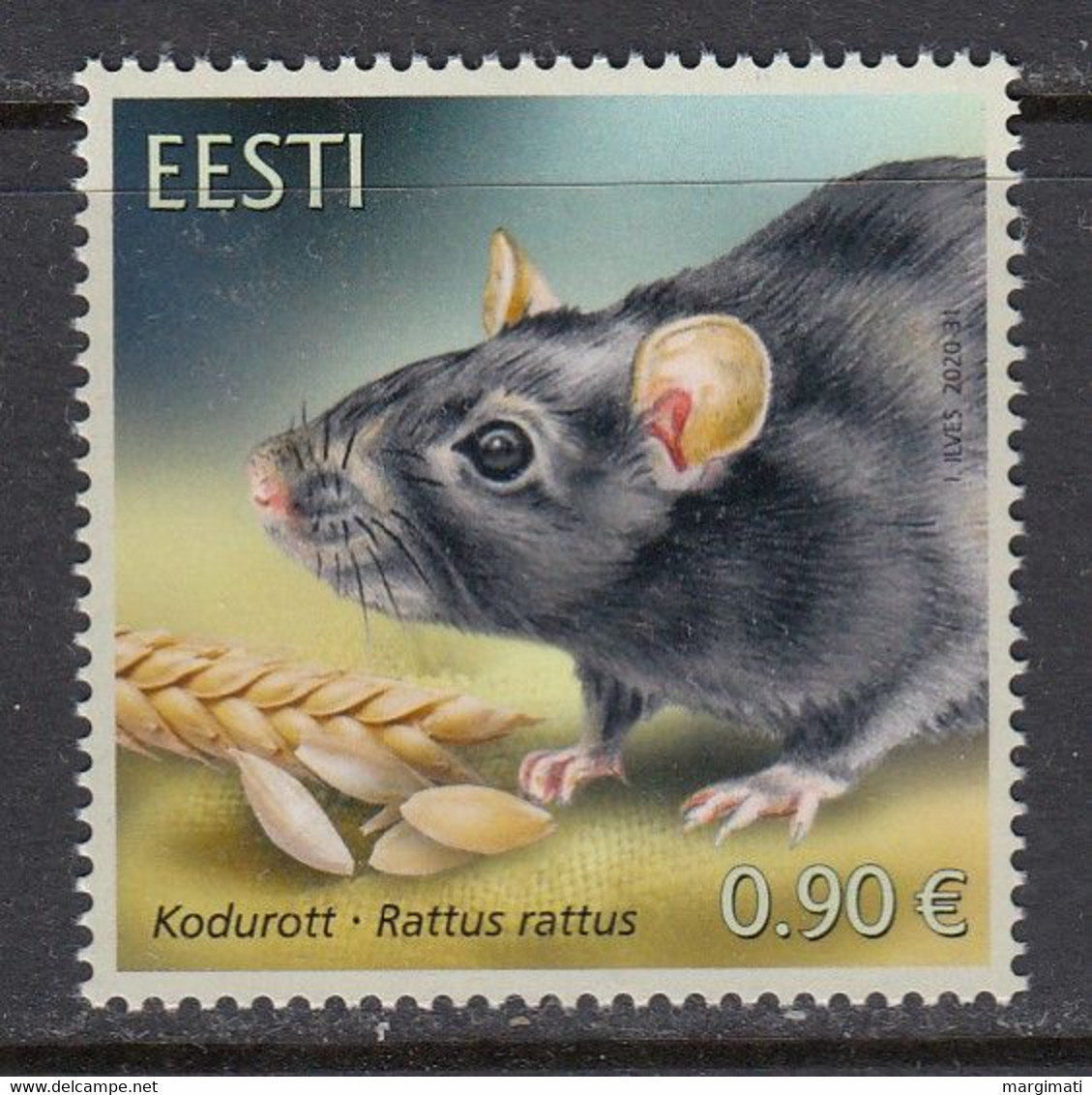 Estland 2020.Fauna - The Black Rat. Pf.** - Estland