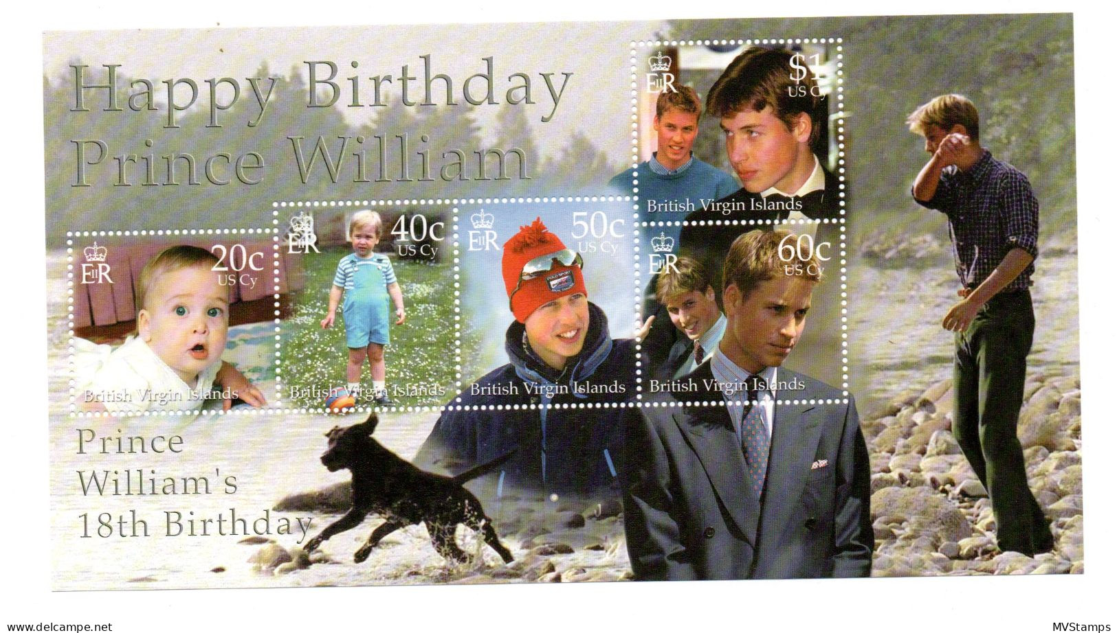 Virgin Islands 2000 Sheet Prince William/Royals Stamps (Michel Block 100) MNH - British Virgin Islands