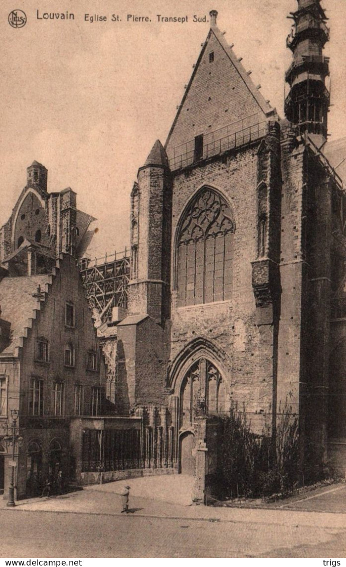 Louvain - Église St. Pierre, Transept Sud - Leuven