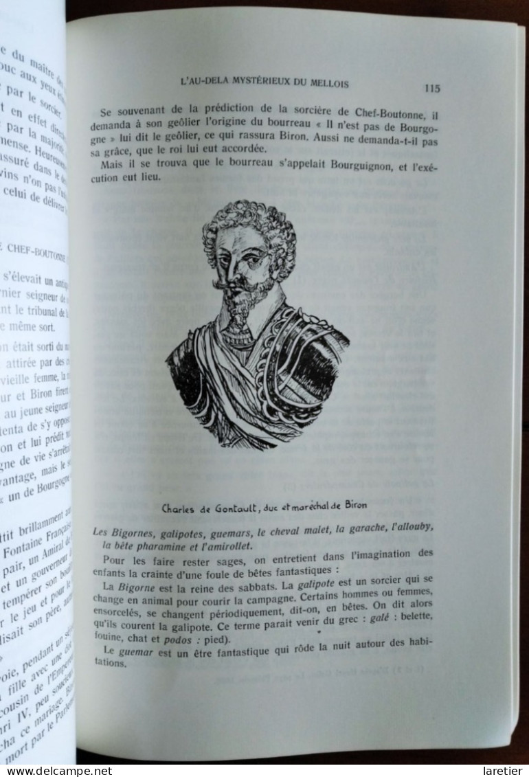 MELLE Et Sa Région, Brioux, Celles, Chizé, Chef-Boutonne, Lezay Par Jacques Pineau - Mystères De Leur Histoire - Poitou-Charentes