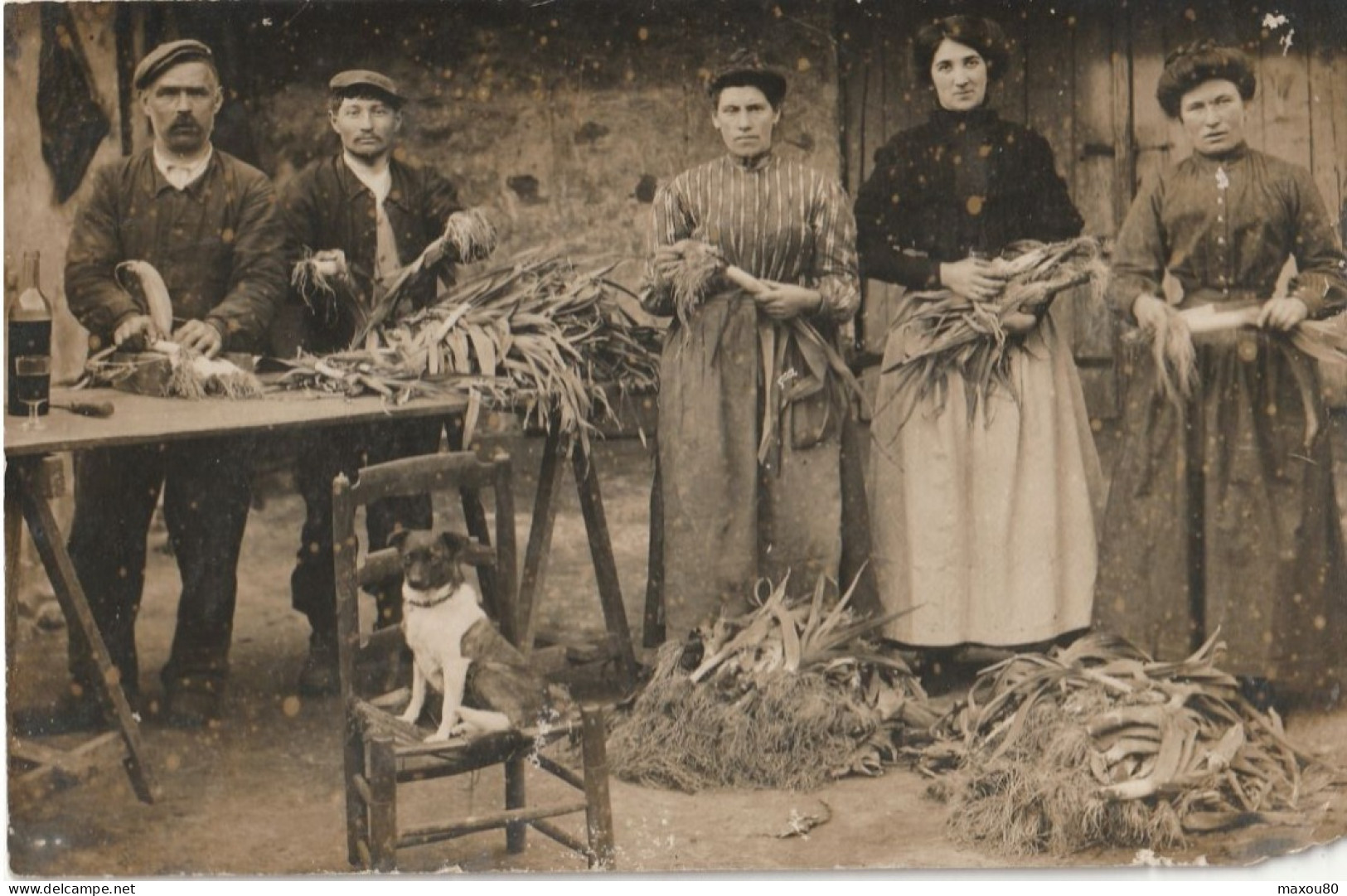 Carte Photo,  Trois Femmes Et Deux Hommes à L'épluchage Des Poireaux Avec Chien Assis Sur Chaise - Bauern