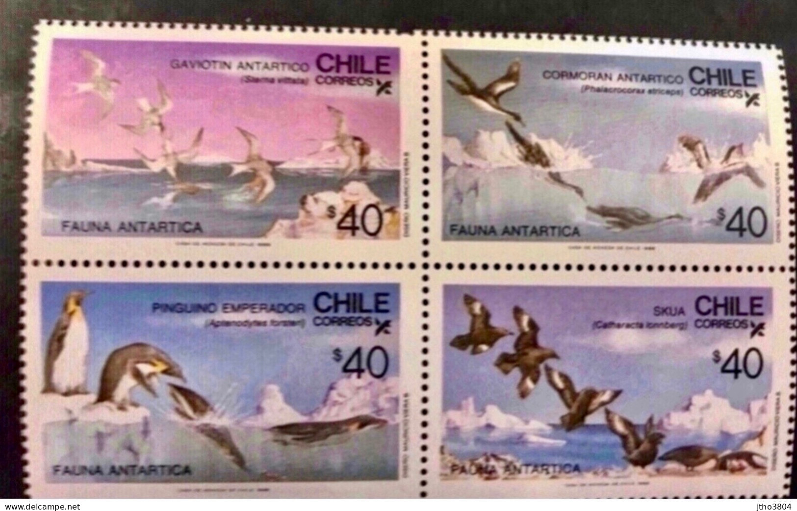 CHILI 1986 Bloc Neuf De 4 V Antartic  Wild Life Of Chile - Unused Stamps