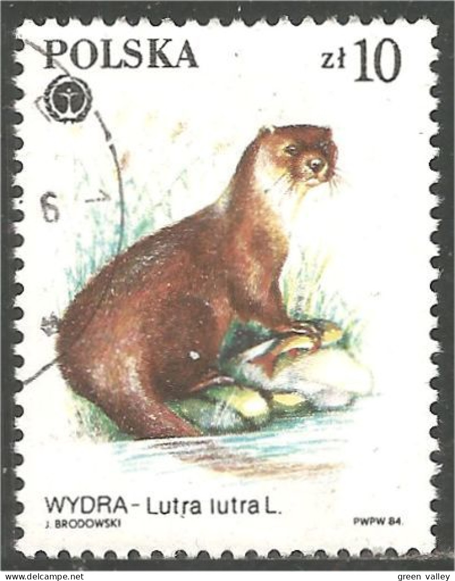 740 Pologne Protected Animal Protégé Loutre Otter (POL-314a) - Altri & Non Classificati