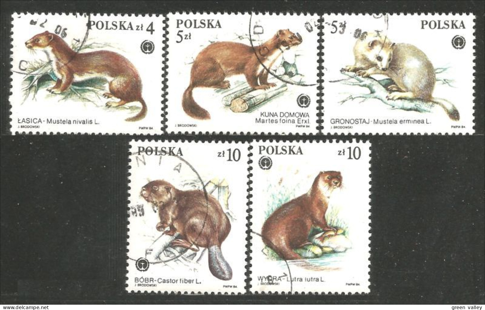 740 Pologne Protected Animal Protégé Loutre Otter Mamotte Marmot Castor Beaver (POL-311) - Altri & Non Classificati