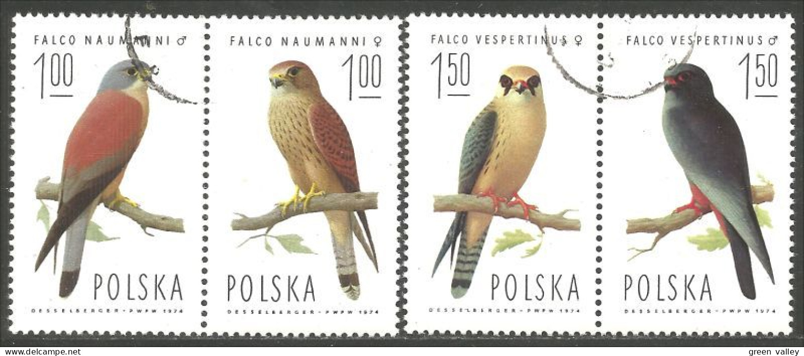 740 Pologne Faucon Falcon Falk Aigle Eagle Adler Aquila (POL-299) - Adler & Greifvögel