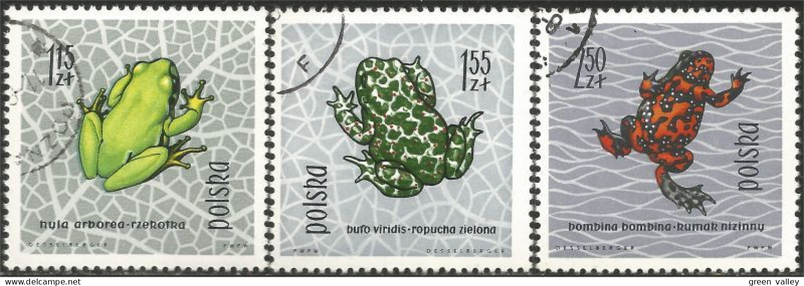 740 Pologne Grenouilles Frogs Rana Sapo Frosch (POL-217) - Frogs