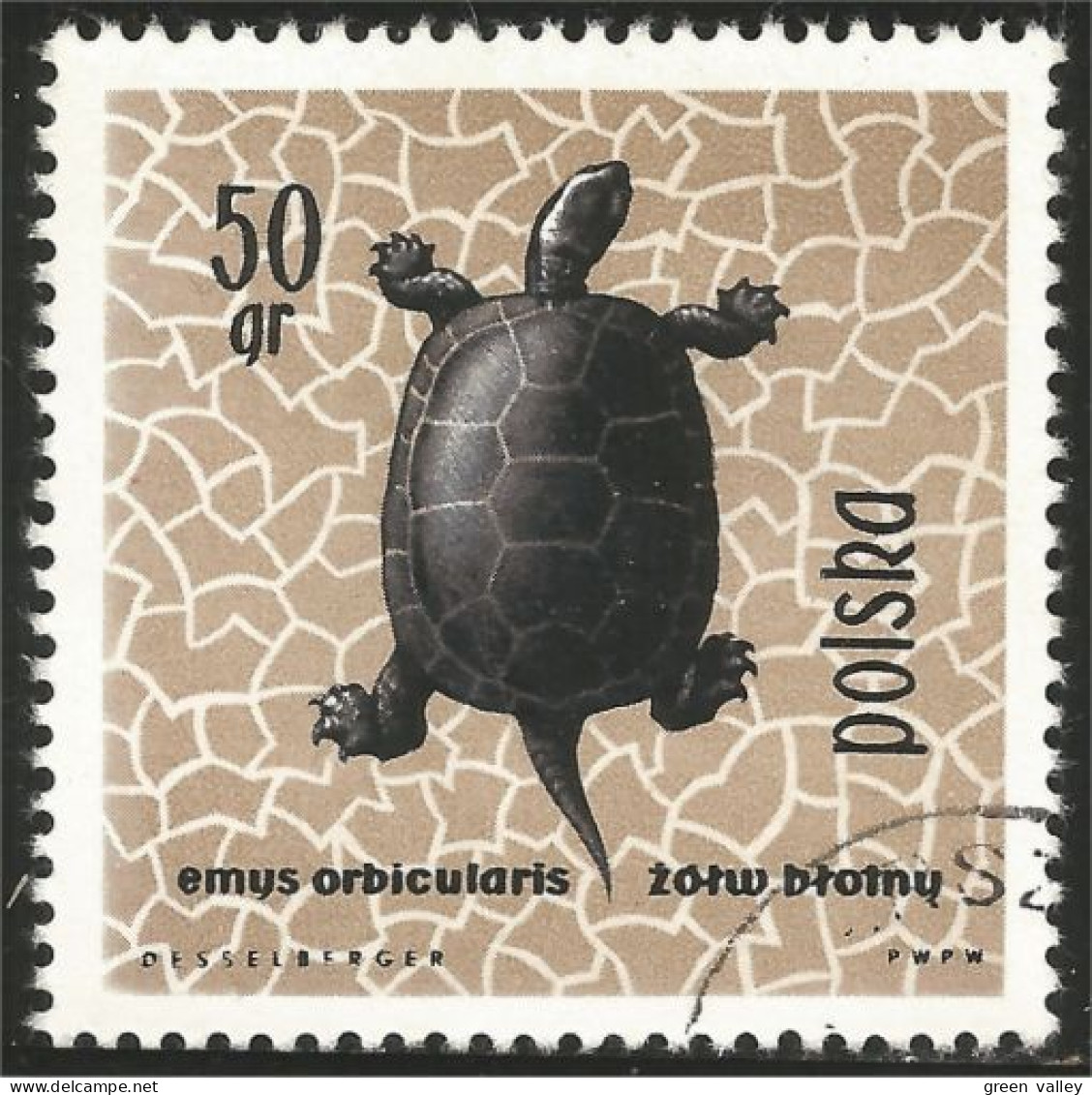 740 Pologne Tortue Turtle Schildkrote Tortuga Tartaruga (POL-216) - Schildpadden