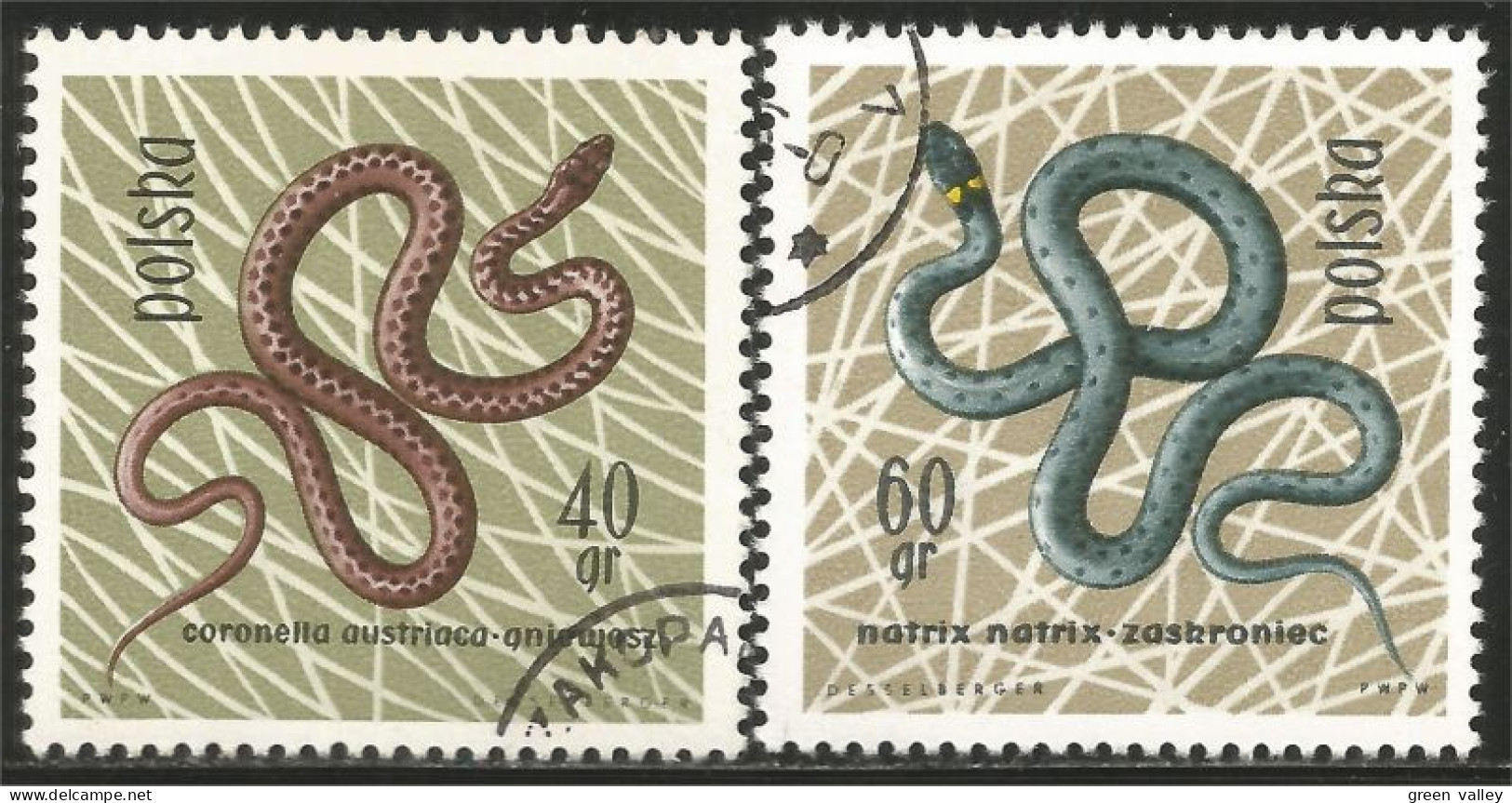740 Pologne Reptiles Serpents Snakes (POL-214) - Snakes