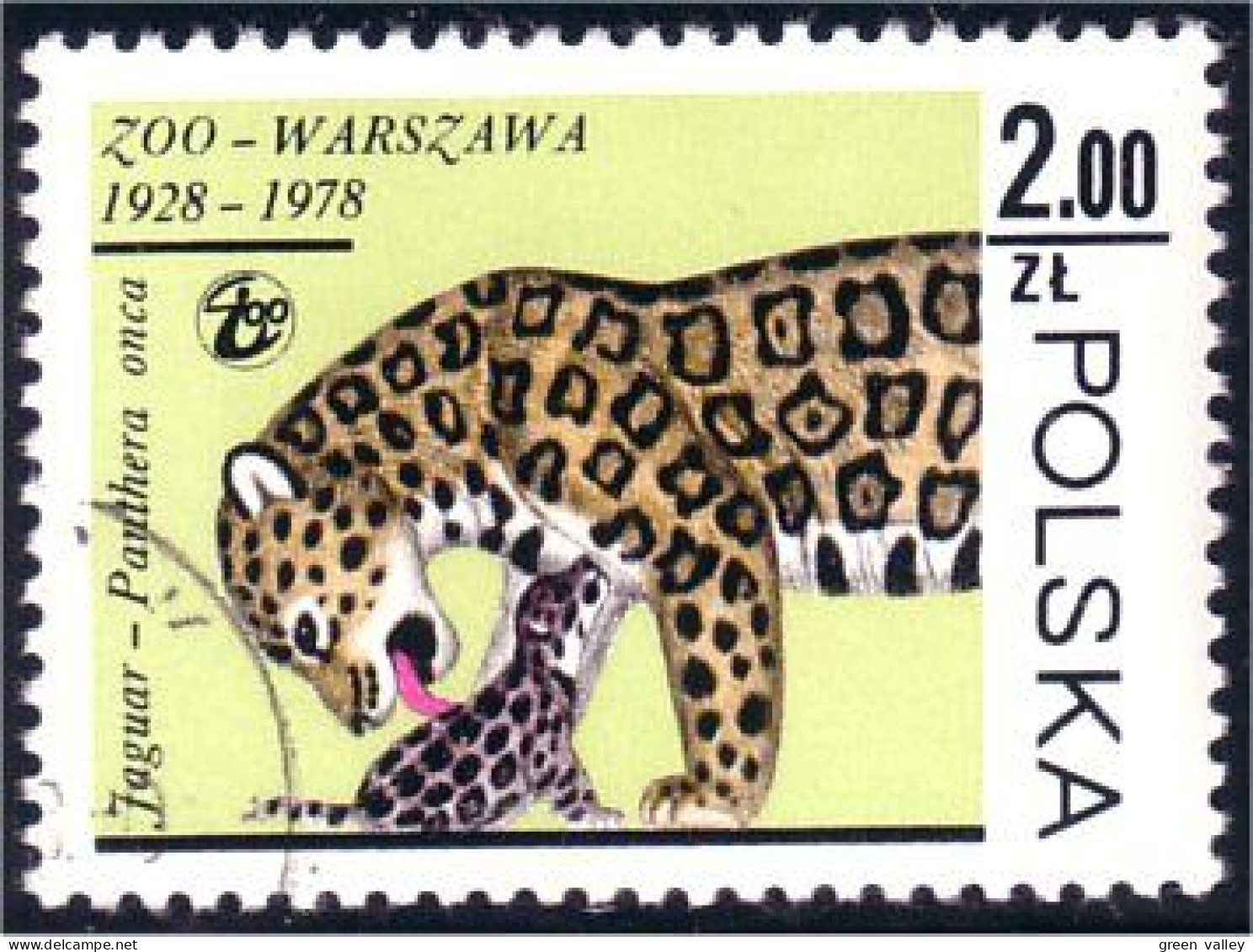 740 Pologne Panther (POL-180) - Big Cats (cats Of Prey)