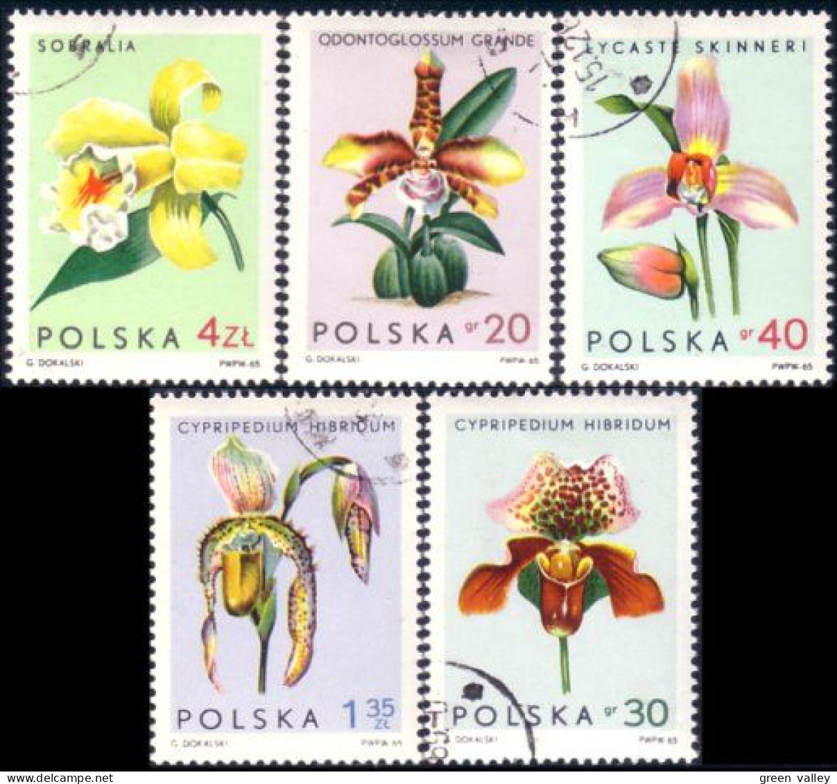 740 Pologne Orchidees Orchids (POL-57) - Orchidées