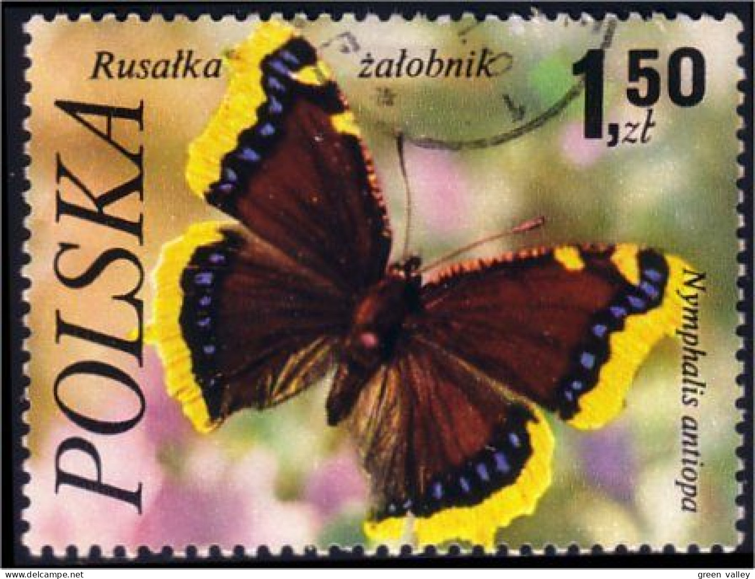 740 Pologne Butterfly Papillon Schmetterlinge Mariposa Farfala (POL-28) - Papillons