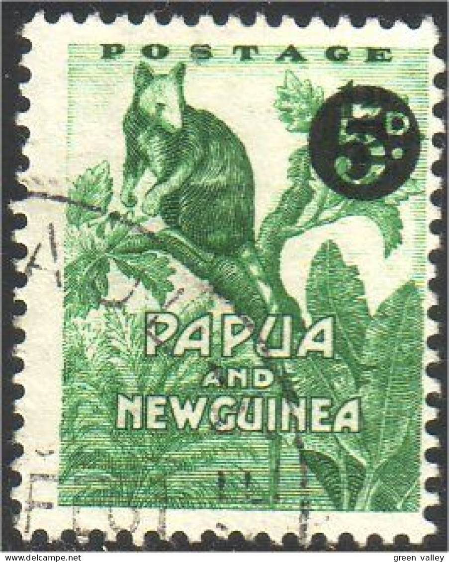 738 Papua New Guinea Singe Monkey Ape (PNG-11) - Apen