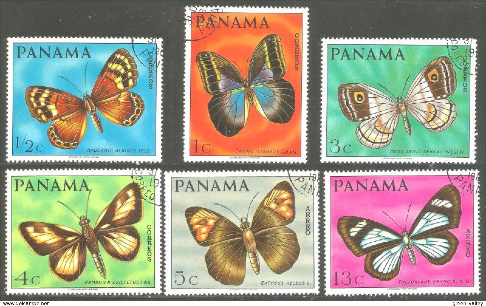 720 Panama Papillon Butterfly Butterflies Farfalla Mariposa Schmetterling Vlinder (PAN-39) - Vlinders