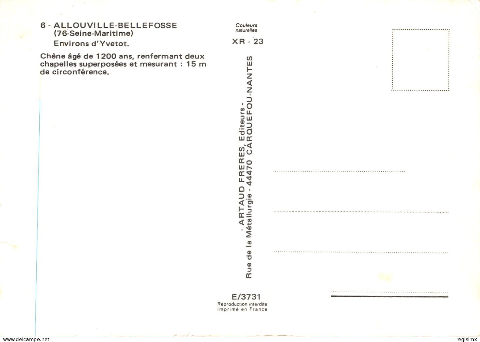 76-ALLOUVILLE-BELLEFOSSE-N°T325-A/0091 - Allouville-Bellefosse