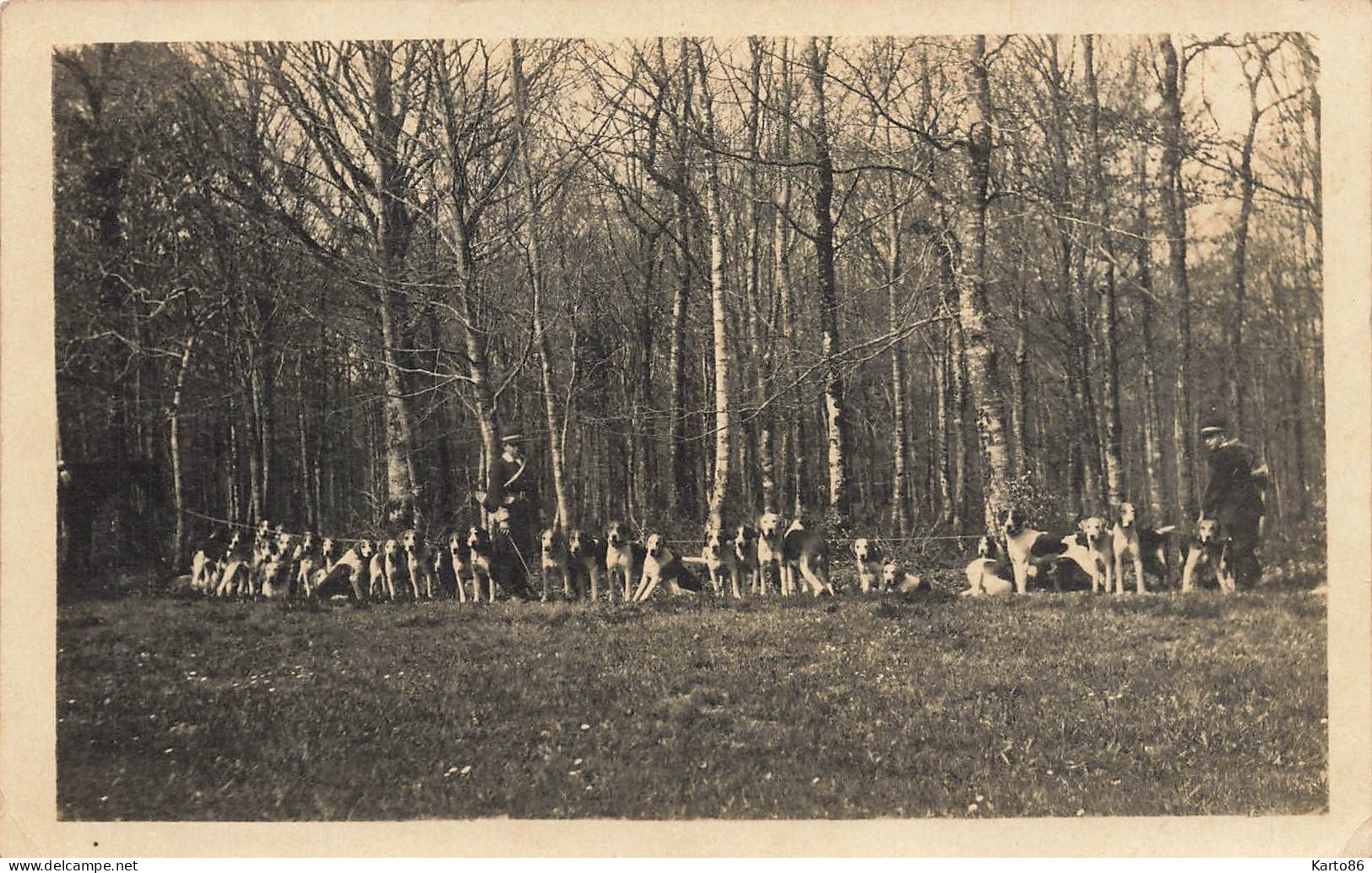 Chasse à Courre * Carte Photo * Meute Chiens Chasseurs Hunt Hunting * Au Dos Adresse Le Mans Sarthe - Sille Le Guillaume