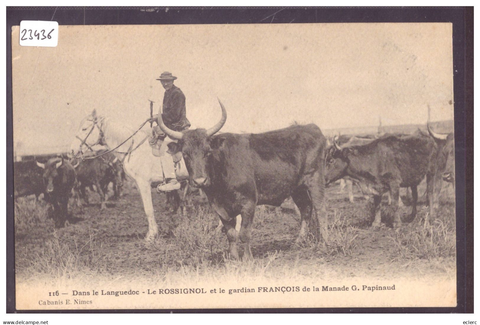 DANS LE LANGUEDOC - LE ROSSIGNOL ET LE GARDIAN FRANCOIS DE LA MANADE PAPINAUD - TB - Languedoc-Roussillon