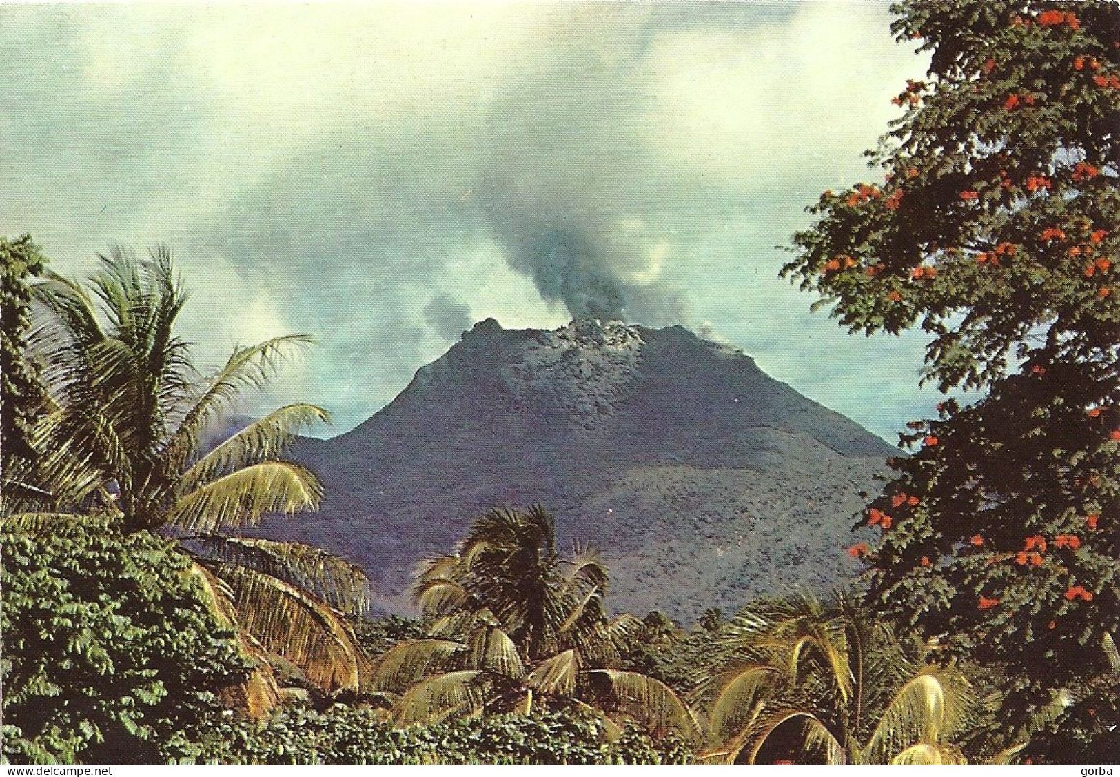 *CPM - 971 - GUADELOUPE - SAINT CLAUDE - Éruption De La Soufrière - Basse Terre