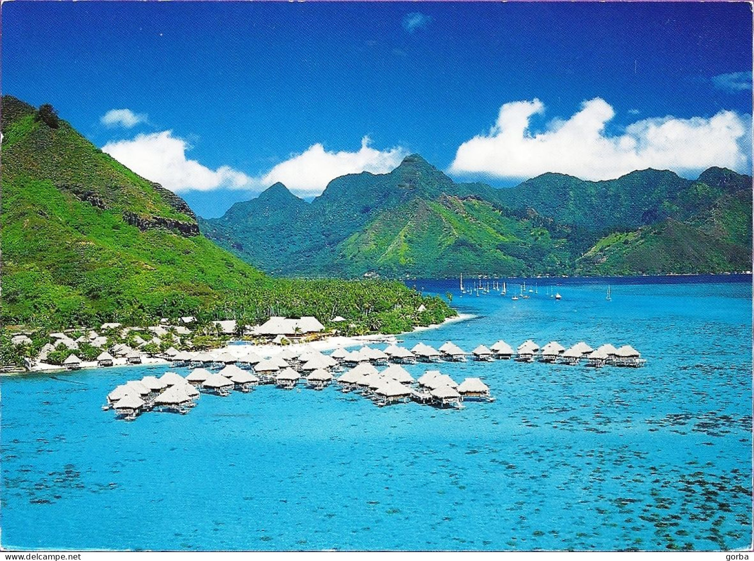 *CPM - 987 -  Polynésie Française - MOOREA - Beachcomber Parkroyal - Beau Timbre - Polynésie Française