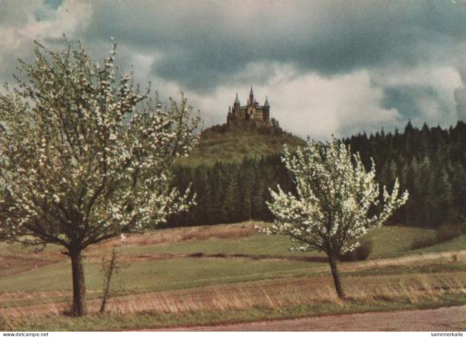 25657 - Die Burg Hohenzollern - Ca. 1975 - Balingen