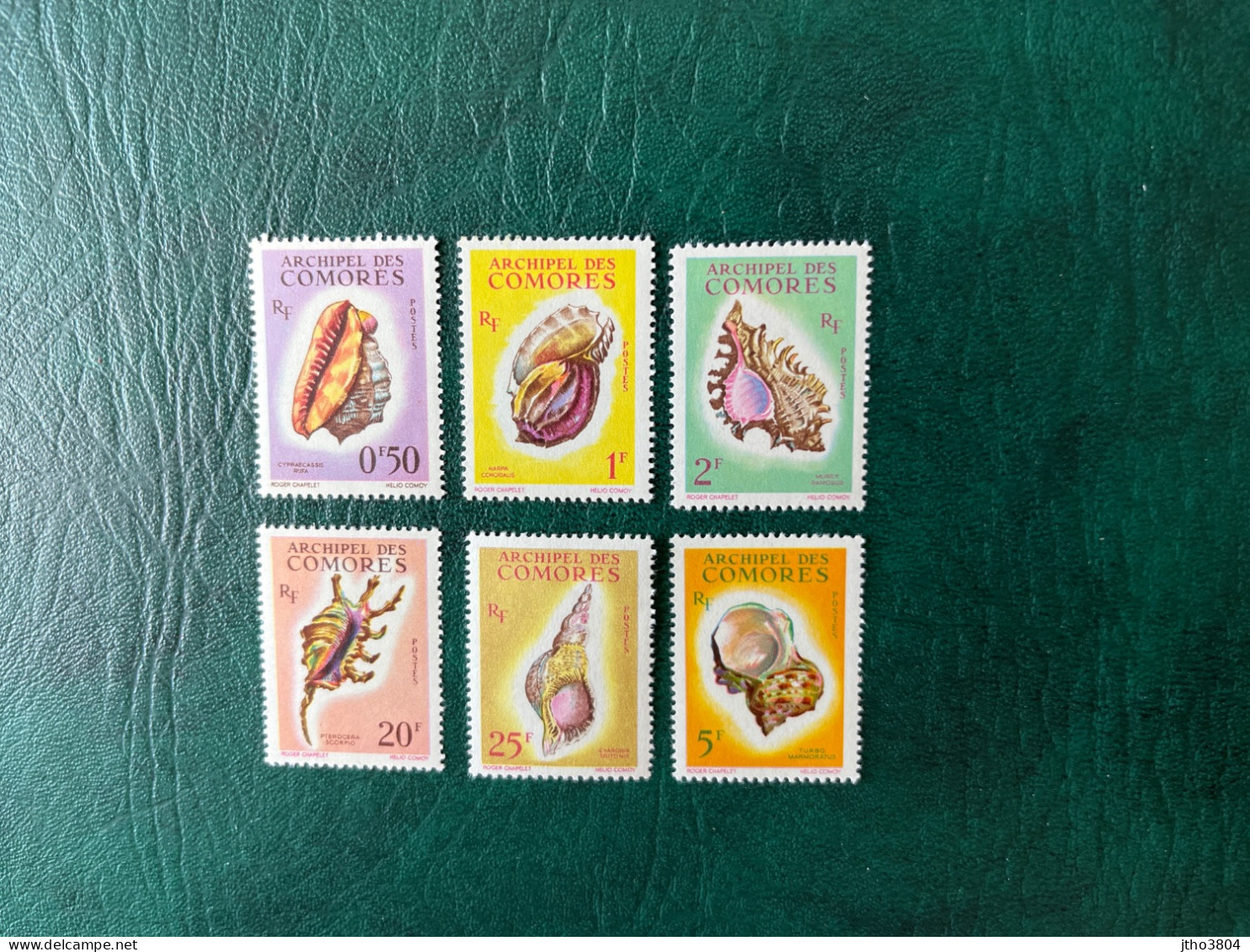 COMORES 1962 6 V Neuf ** MNH YT 19 20 21 22 23 24 Mi 42 à 47 Série Complète Coquillage Concha Shell COMOROS KOMOREN - Unused Stamps