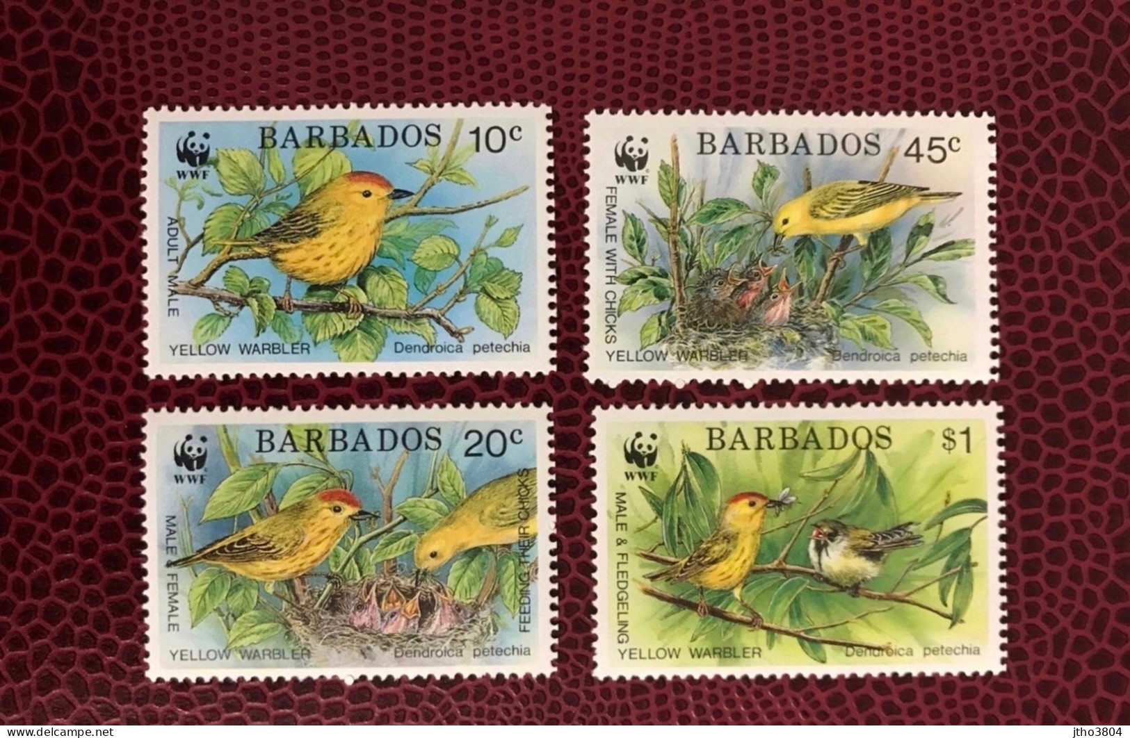BARBADE WWF 1991 4v Neuf MNH ** YT 804 / 807 Mi 770 / 773 Pájaro Bird Pássaro Vogel Ucello Oiseau BARBADOS - Parrots