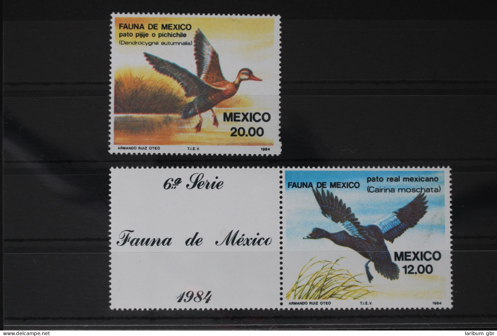 Mexico 1893-1894 Postfrisch Tiere, Vögel #WW963 - Mexico