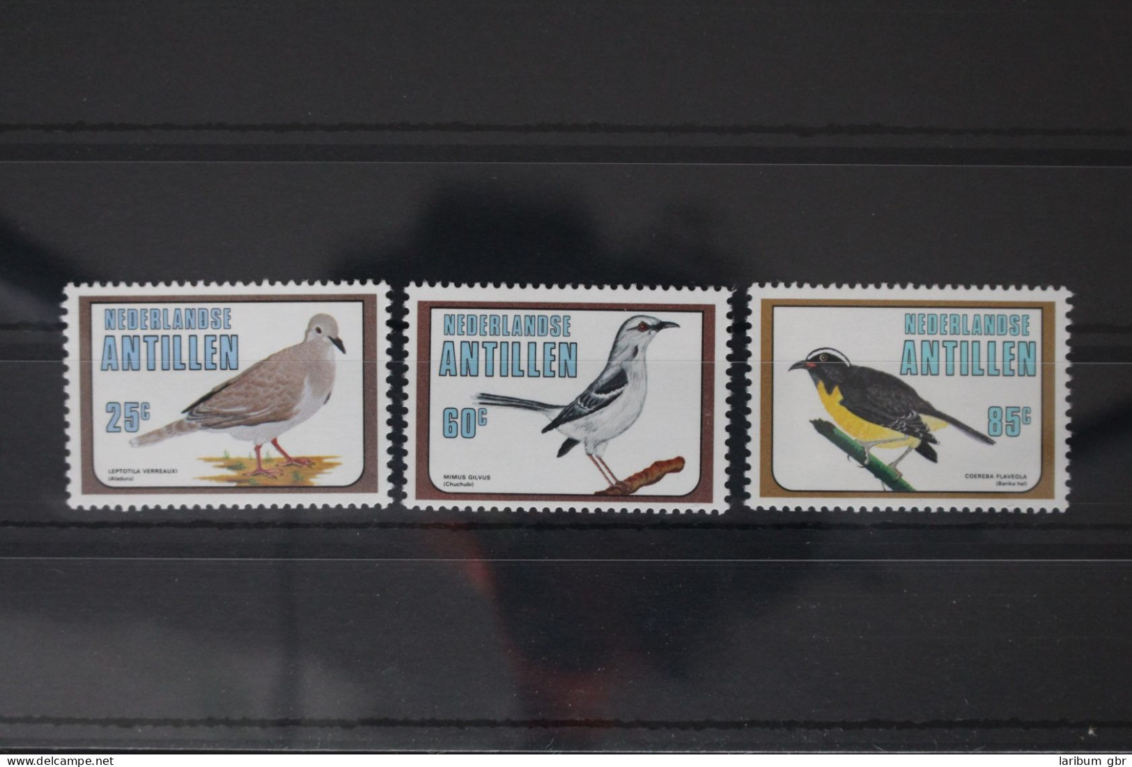 Niederländische Antillen 429-431 Postfrisch Vögel #WX239 - Niederländische Antillen, Curaçao, Aruba