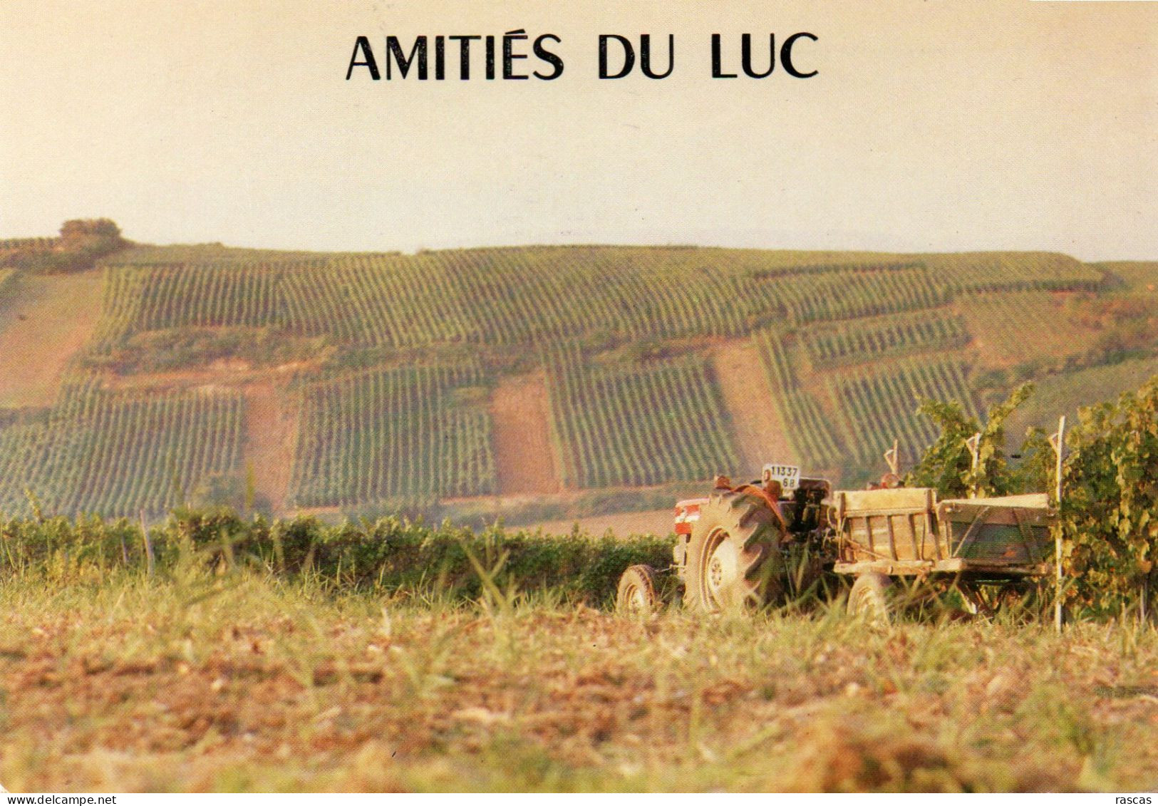 CPM - R - VAR - LE LUC - AMITIES DU LUC - TRAVAUX AGRICOLES - Le Luc