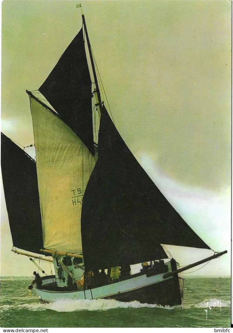 Les Grands Voiliers - GRIETJE - Nationalité Allemand - Propriétaire Erik Hoffman - Sailing Vessels