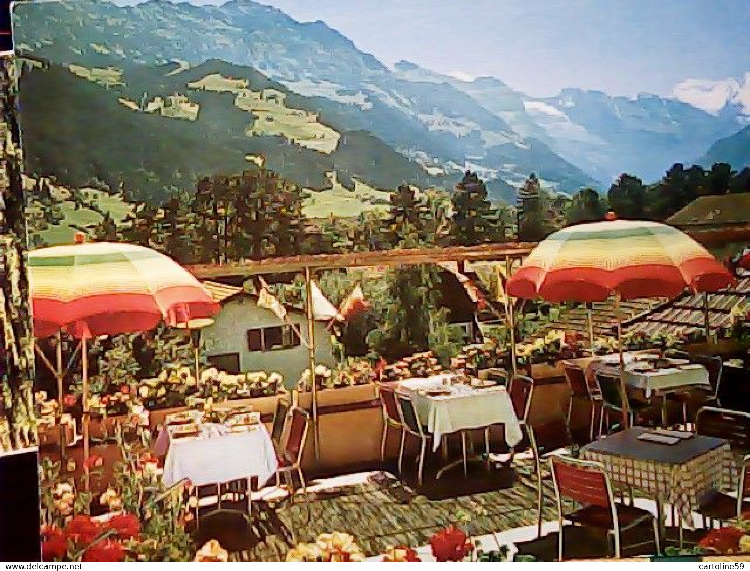 HOTEL NATIONAL FRUTIGEN ( SUISSE ) CONFISERIE . TEA-ROOM  N1975 JV5897 - Frutigen