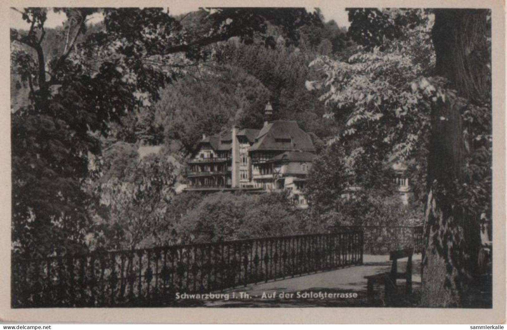 38625 - Schwarzburg - Auf Der Schlossterrasse - 1953 - Saalfeld