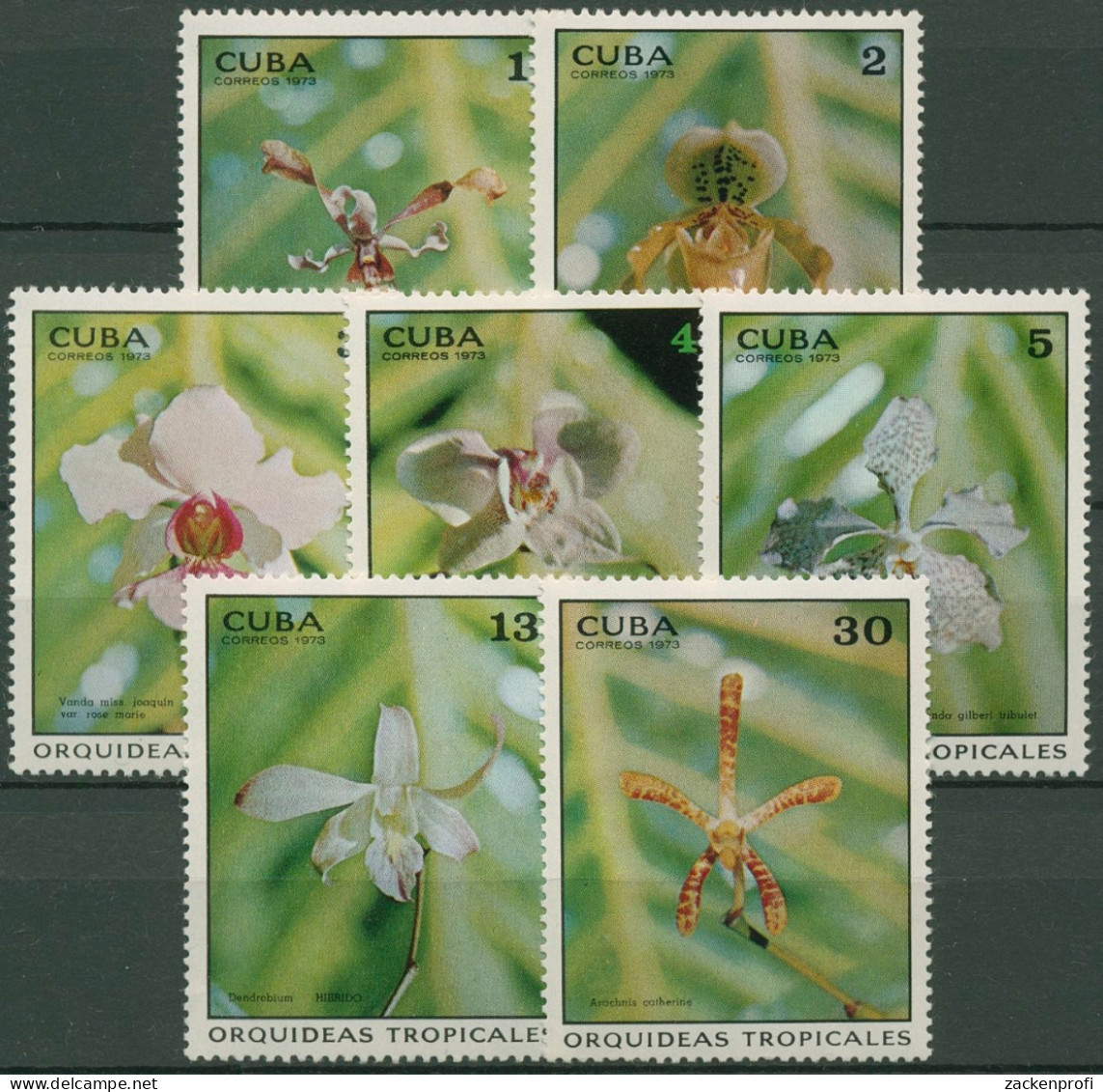 Kuba 1973 Tropische Orchideen 1855/61 Postfrisch - Unused Stamps