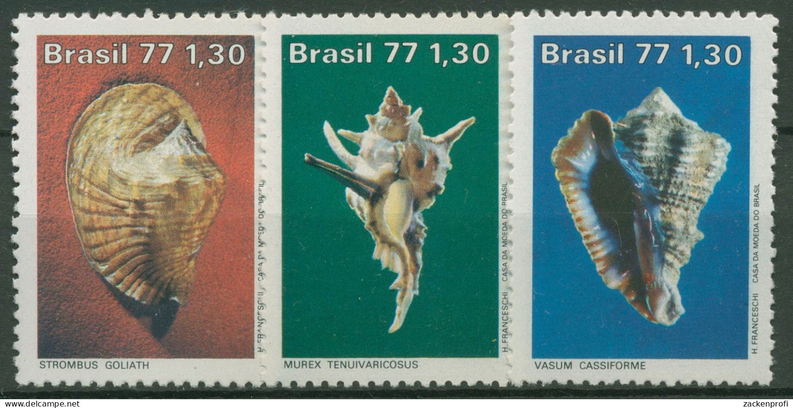 Brasilien 1977 Tiere Meeresschnecken 1604/06 Postfrisch - Ongebruikt