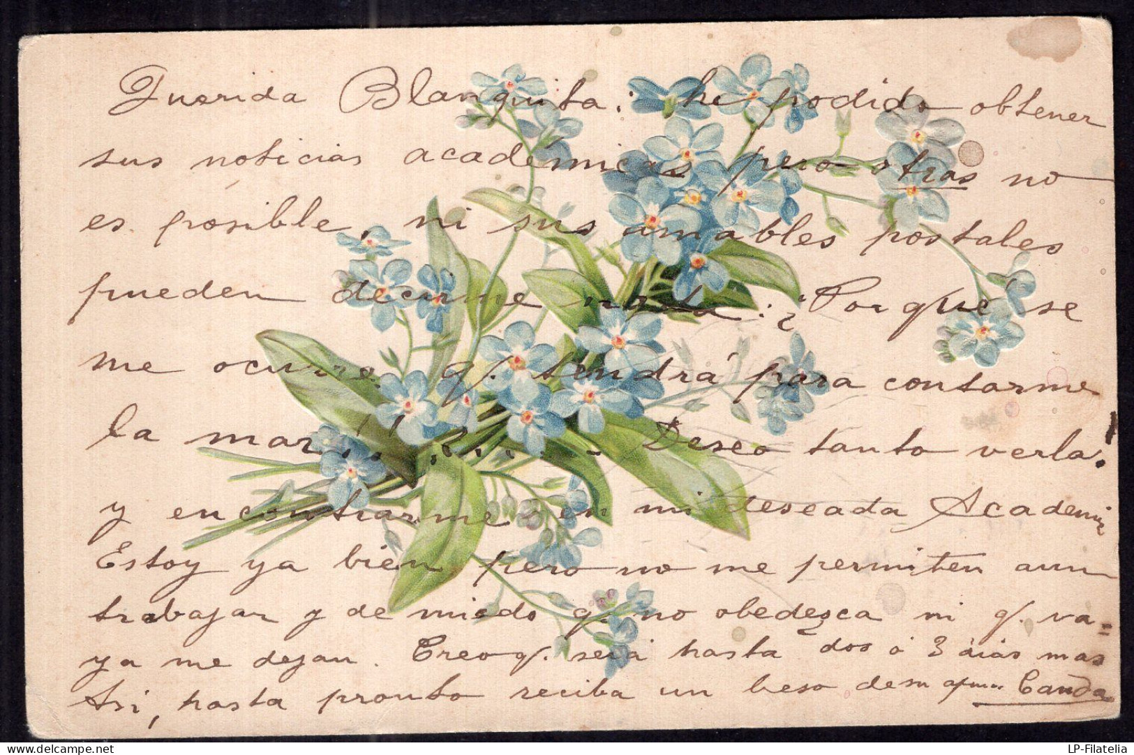 Argentina - 1905 - Embosed - Bouquet Of Blue Flowers - Flowers