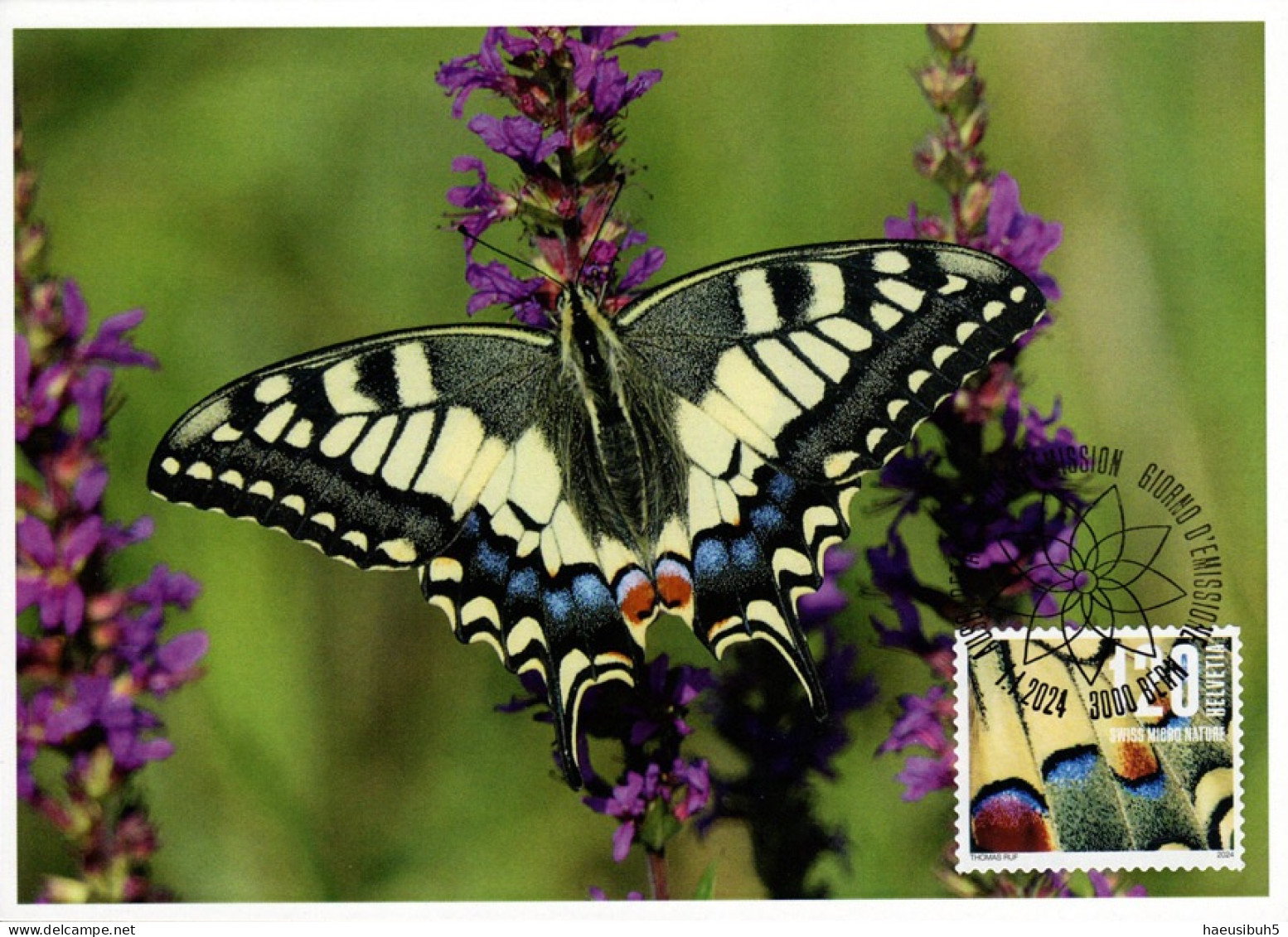 Maximumkarte 2024 Naturmuster - Schmetterling - Maximum Cards