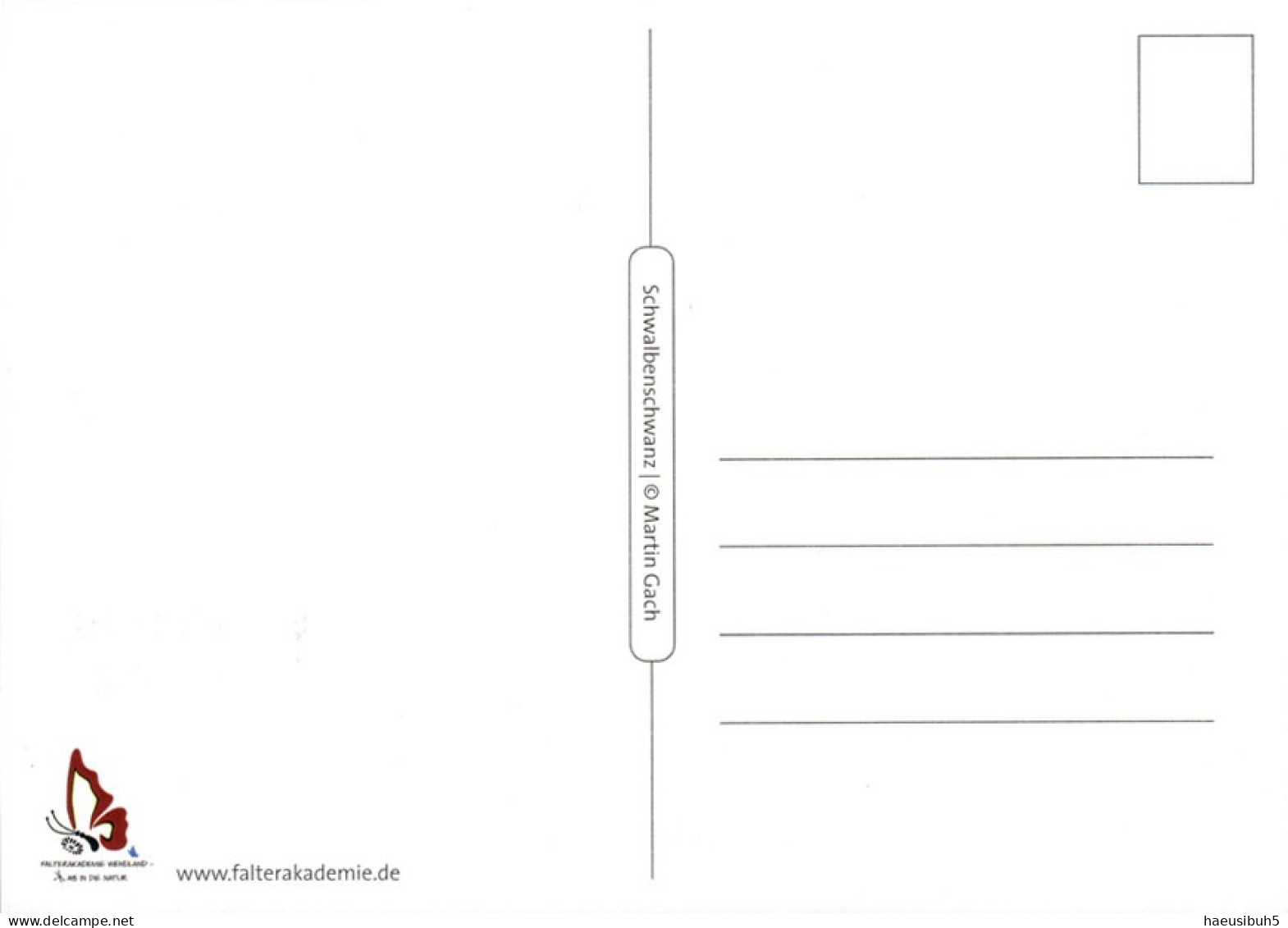 Maximumkarte 2024 Naturmuster - Schmetterling - Maximum Cards