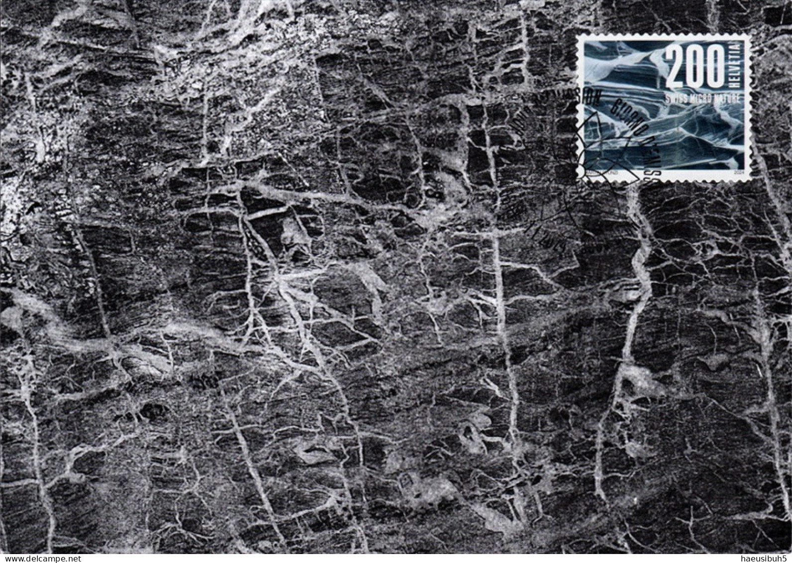 Maximumkarte 2024 Naturmuster - Marmor - Cartoline Maximum