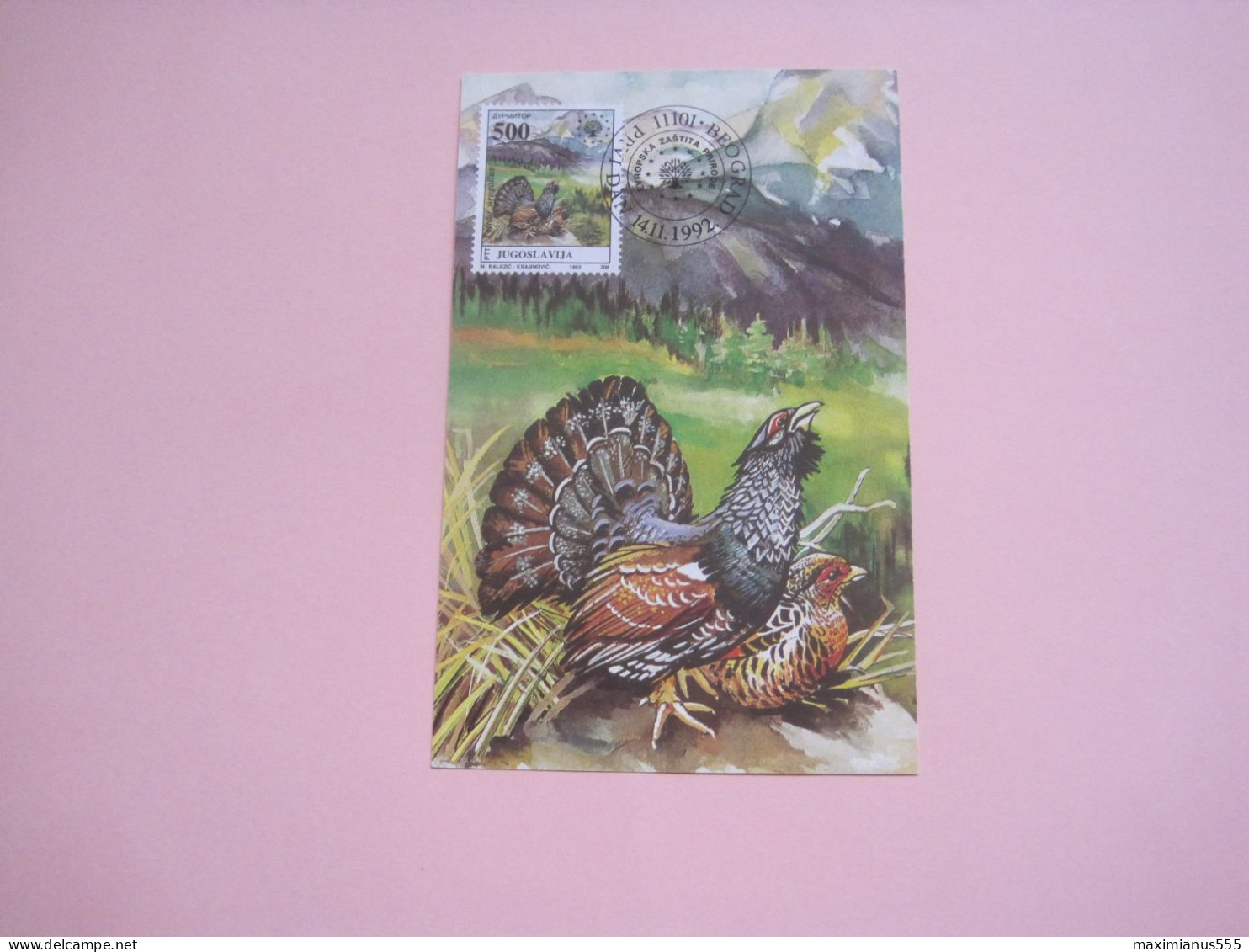 Yugoslavia MAXIMUM CARD 1992 - Storia Postale