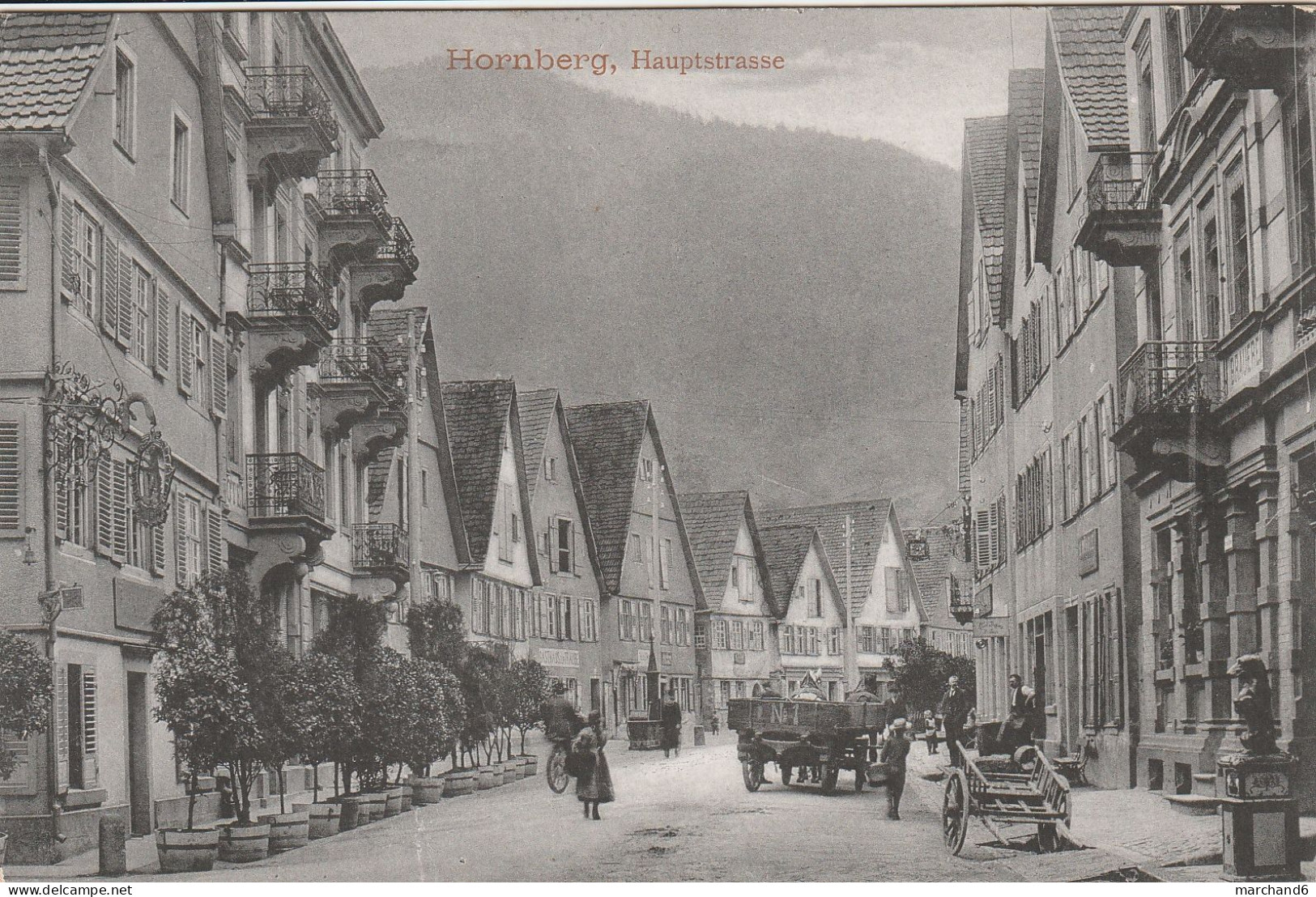 Hornberg Hauptstrasse édition Eigentum Gebr Metz N°35637 - Hornberg