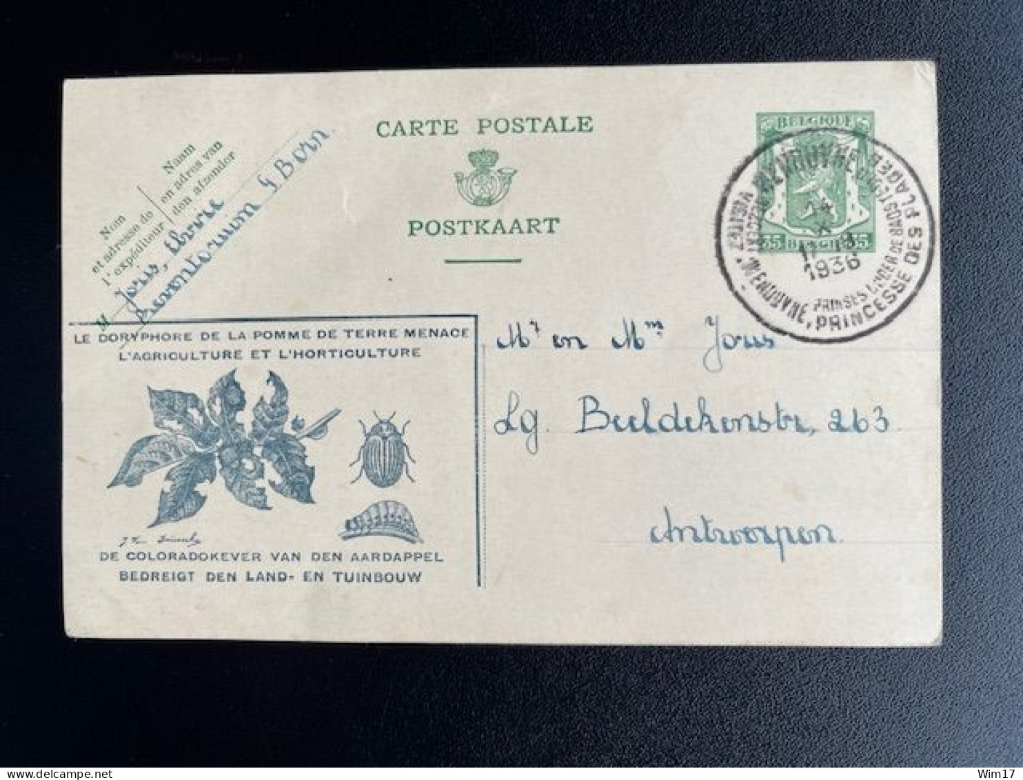 BELGIUM 1936 POSTCARD WENDUYNE WENDUINE TO ANTWERPEN ANVERS 14-10-1936 BELGIE BELGIQUE - Cartes Postales 1934-1951