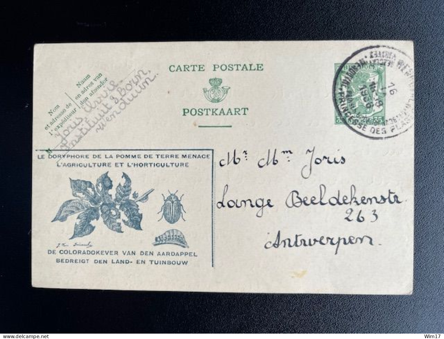 BELGIUM 1936 POSTCARD WENDUYNE WENDUINE TO ANTWERPEN ANVERS 16-09-1936 BELGIE BELGIQUE - Postkarten 1934-1951