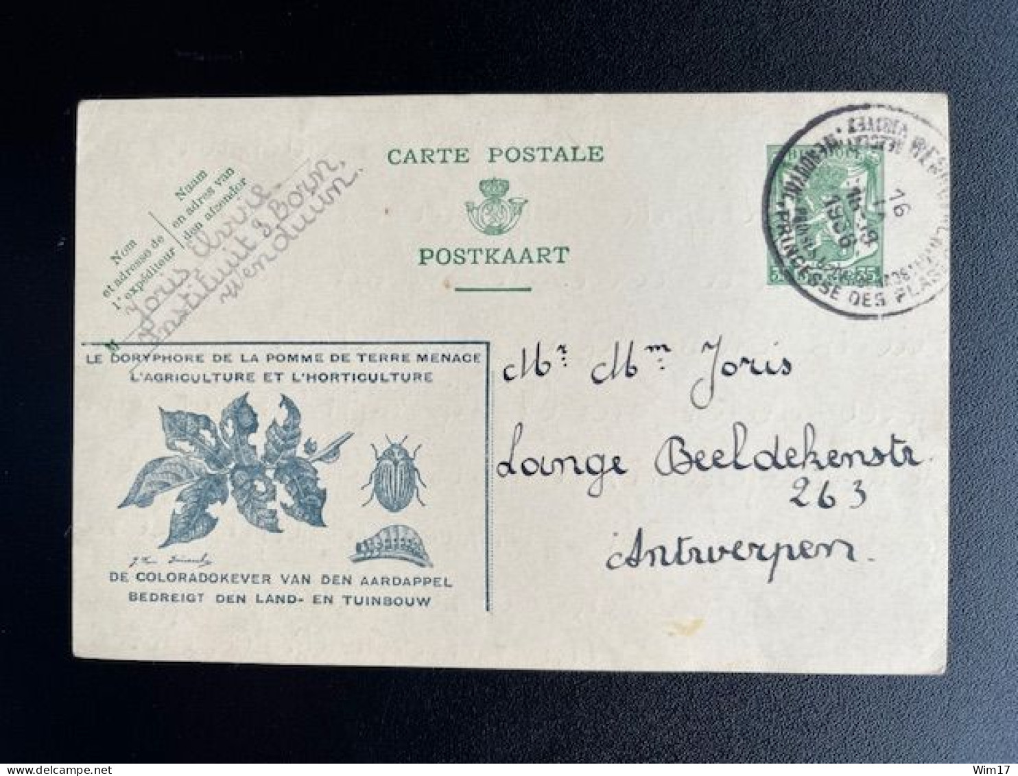 BELGIUM 1936 POSTCARD WENDUYNE WENDUINE TO ANTWERPEN ANVERS 16-09-1936 BELGIE BELGIQUE - Tarjetas 1934-1951